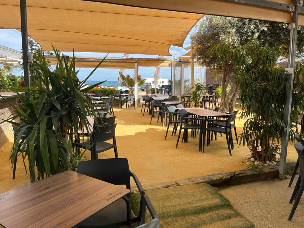 Beach Apartment Amalia Torrevieja Ngoại thất bức ảnh